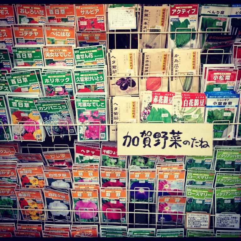 金沢の特産品加賀野菜の種はお土産に人気